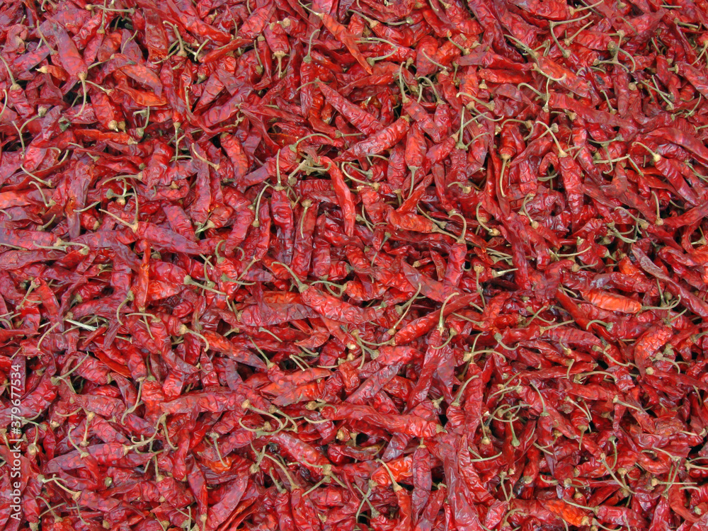 Indian Red chilies
