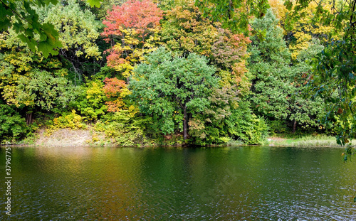 Various beautiful autumn trees near the water in the early morning in the fall