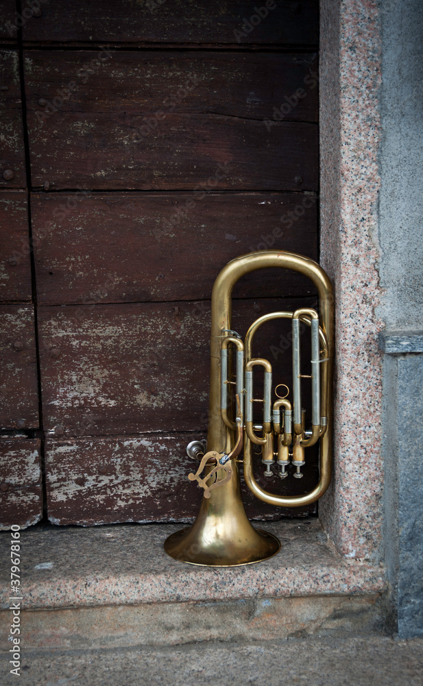 Fototapeta premium Strumento musicale appoggiato a lato di un portone marrone