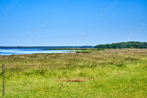 Grass that goest to the sea and the sky photo