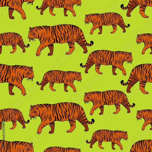 Fototapeta Naklejka Na Ścianę i Meble -  Modern seamless vector tropical colourful pattern with walking tigers on green