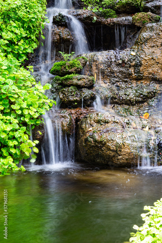 Fototapeta Naklejka Na Ścianę i Meble -  background lush tropical garden with ferns and waterfall