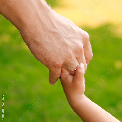 parent holds the hand of a small child © Kostia