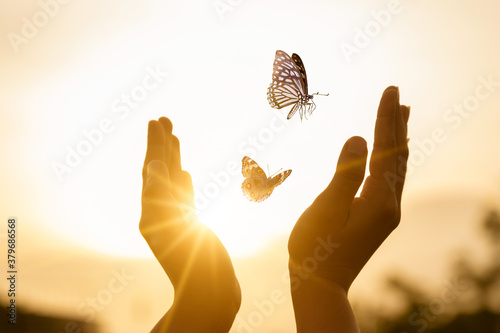 Canvastavla The girl frees the butterfly from  moment Concept of freedom