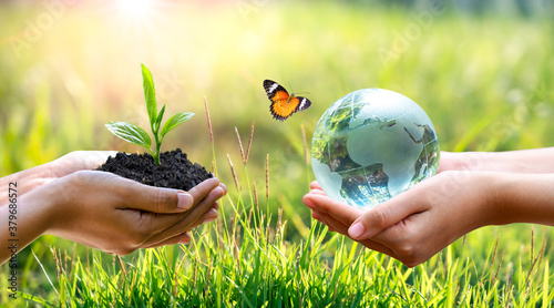 Fototapeta Naklejka Na Ścianę i Meble -  Concept Save the world save environment The world is in the grass of the green bokeh background
