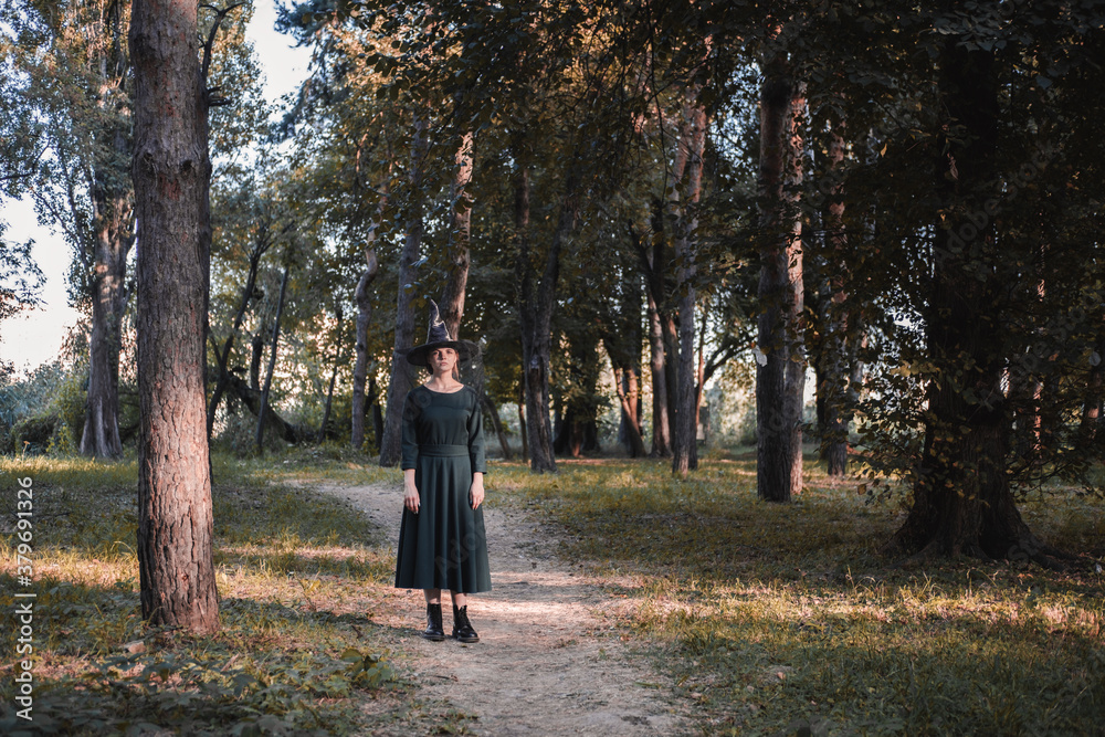 Pretty young beautiful woman in dark dress and witch hat standing in middle of autumn woods or park. Halloween party costume. Portrait in full growth. Shadow on the face.