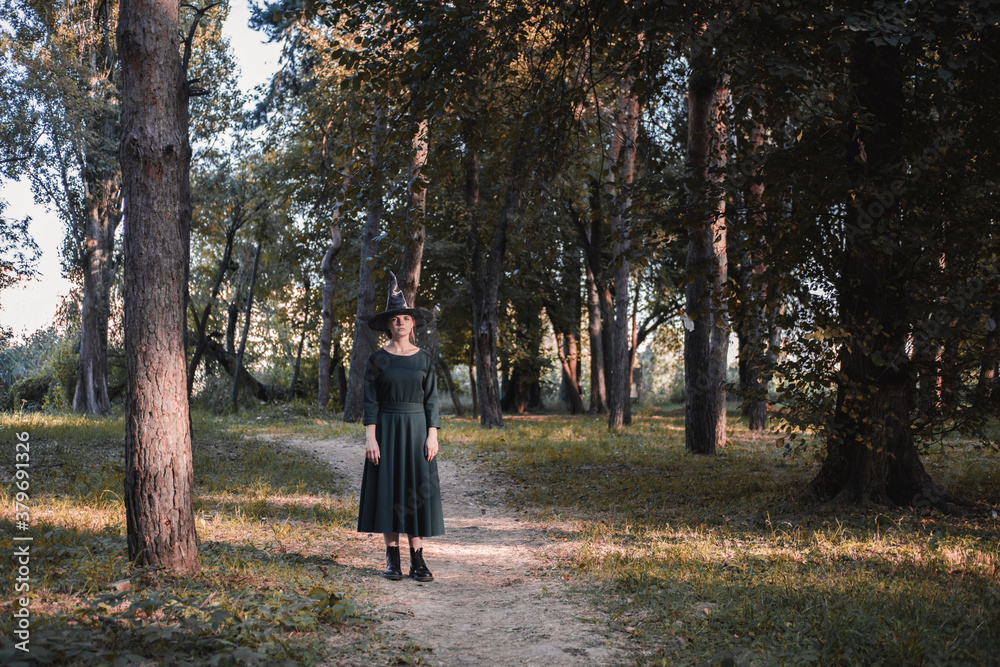 Pretty young beautiful woman in dark dress and witch hat standing in middle of autumn woods or park. Halloween party costume. Portrait in full growth. Shadow on the face. Pretty young beautiful woman in dark dress and witch hat standing in middle of autumn woods or park. Halloween party costume. Portrait in full growth. Shadow on the face.