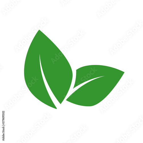 Vegan food vector label concept. Green leaf isolated on white bacground. Bio, ecology, organic logos and badges