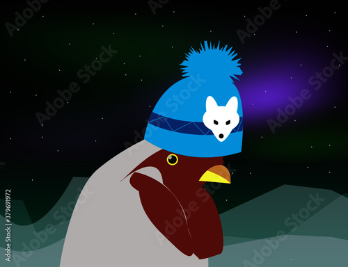 skier rooster