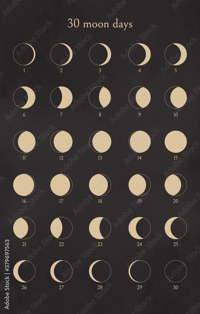 Moon phases set. 30 Moon days calendar. Collection of design elements for  icons, logotypes. Isolated outline symbols on black background. Vector  illustration. Stock Vector | Adobe Stock