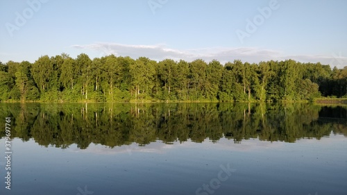 lake in the forest