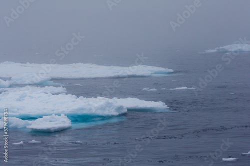 Ice floes near the north pole.