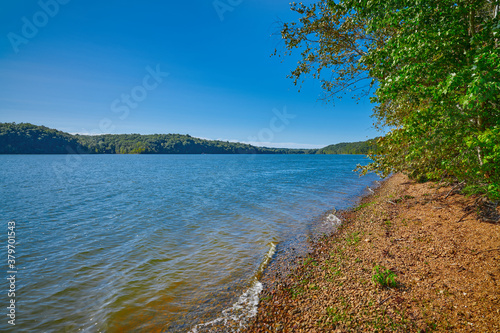 Shoreline of Kentucky Lake near Kenlake State Resort Park, Kentucky. photo