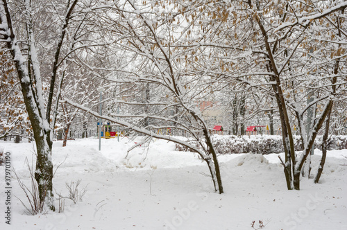 winter landscape