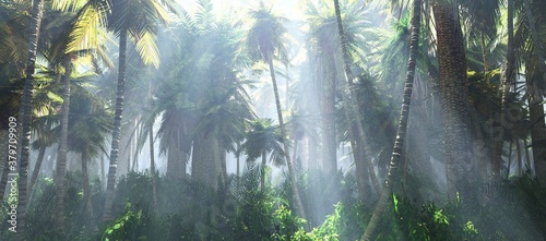 Fototapeta Naklejka Na Ścianę i Meble -  Jungle in the morning in the fog, palm trees in the haze, Jungle in the rays of light, palm trees in the smoke, 3D rendering