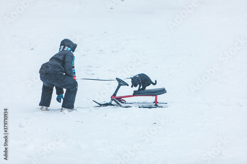 child playing with dog at winter time sliding from snowed hill