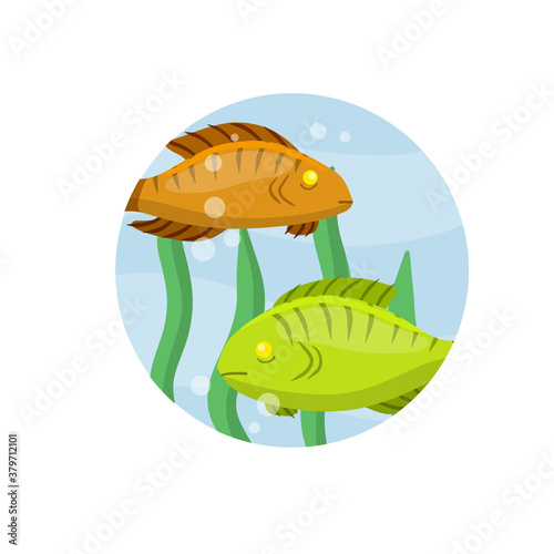 Set of fish. River animal with scales, fins and tail. Underwater life. Water with algae. Wildlife icon in circle. Element of fishing. Cartoon flat illustration
