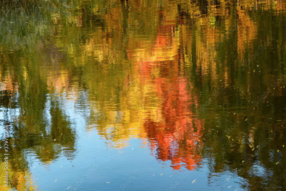Abstract autumn background with yellowed trees reflected in the water Abstract autumn background with yellowed trees reflected in the water