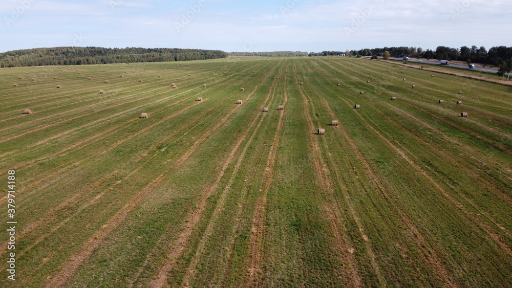 field and haystack