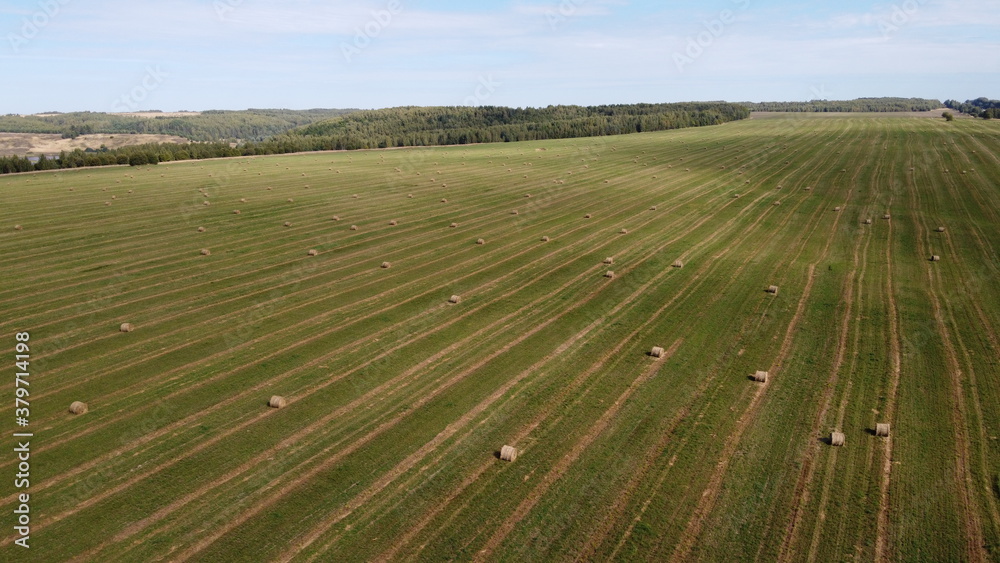 field and haystack field and haystack