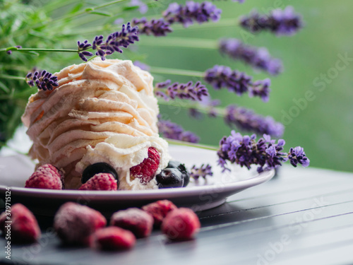 Delicious meringue Pavlovas cake on green woods background photo