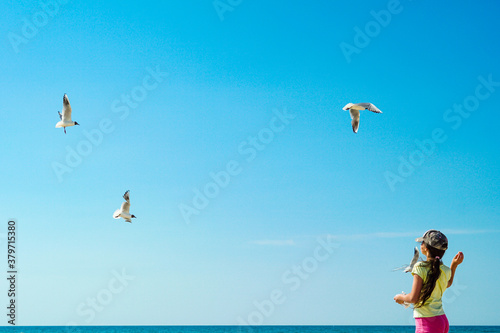 Young girl feeding flying black-headed seagulls (Chroicocephalus ridibundus) on the beach