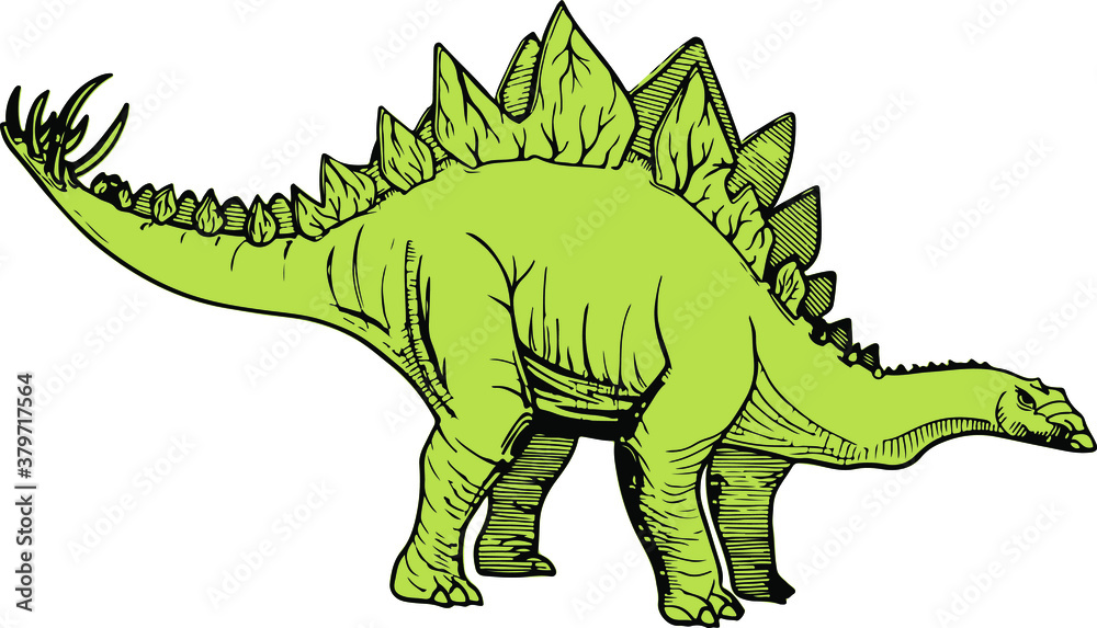 Stegosaurus dinosaur vector illustration Stegosaurus dinosaur vector illustration
