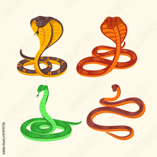 Schilderij op canvas Set of Snake Venom Predator Vector Illustration