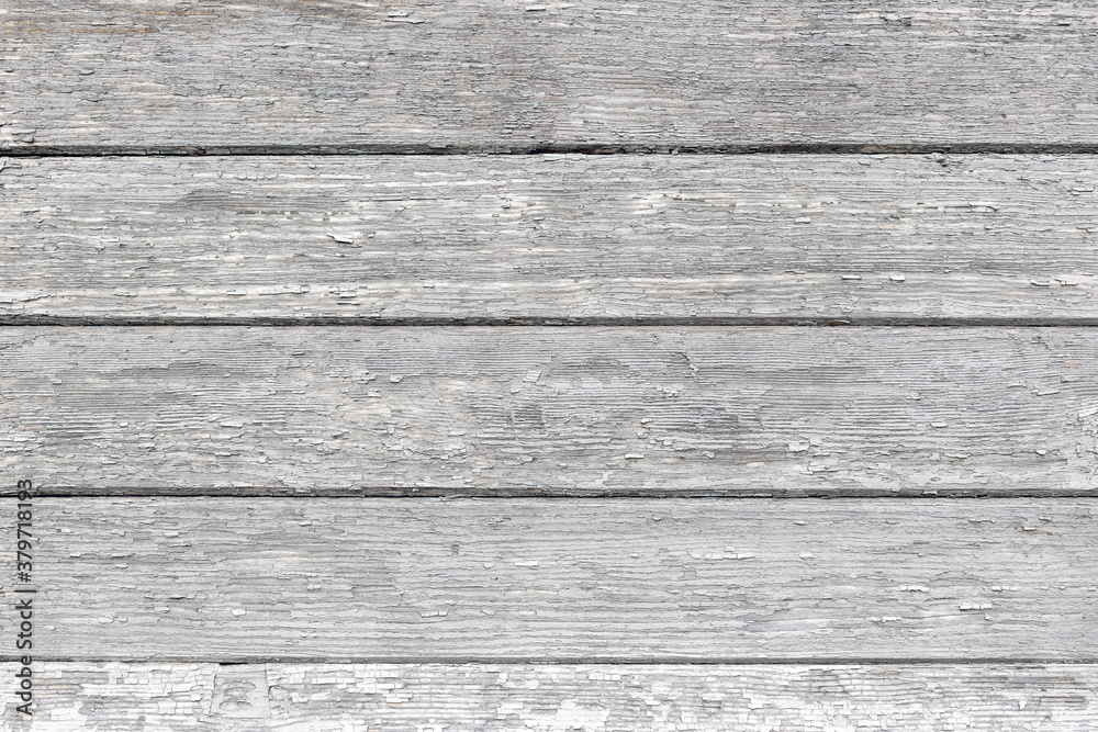 Fototapeta premium The gray wood texture with natural patterns background