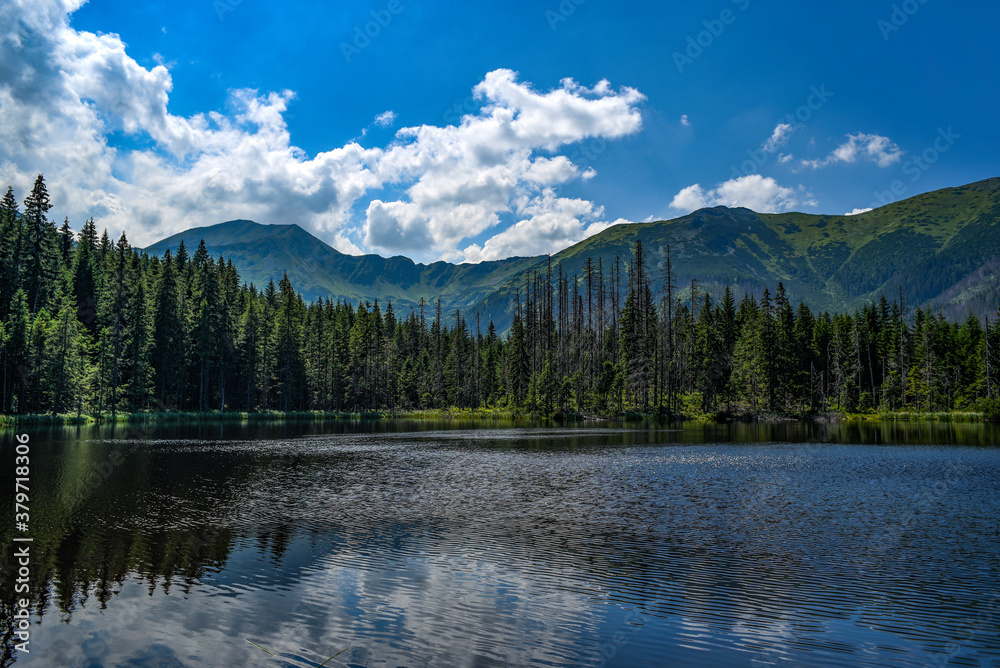 Smreczynski pond in the Western Tatras in Poland. Mountain landscape.