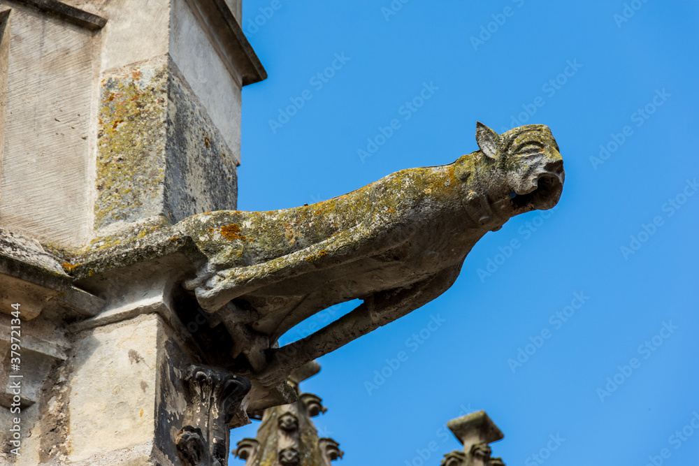 Gargouille de l'église Saint-Pierre, monument historique, à Dreux, Eure-et-Loir, France