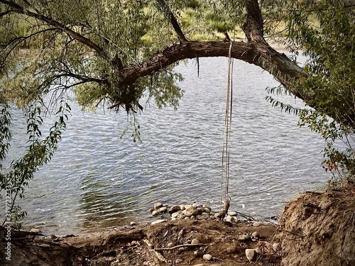 Rope swing by river