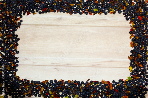 frame made of freshly picked blueberries and leaves