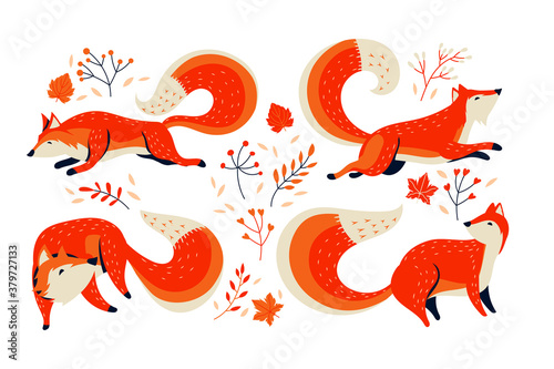 Set of Fox Animal with Foliage Background Vector Illustration