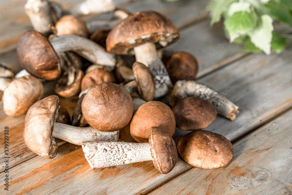 group of forest white edible mushrooms on a wooden table. group of forest white edible mushrooms on a wooden table.