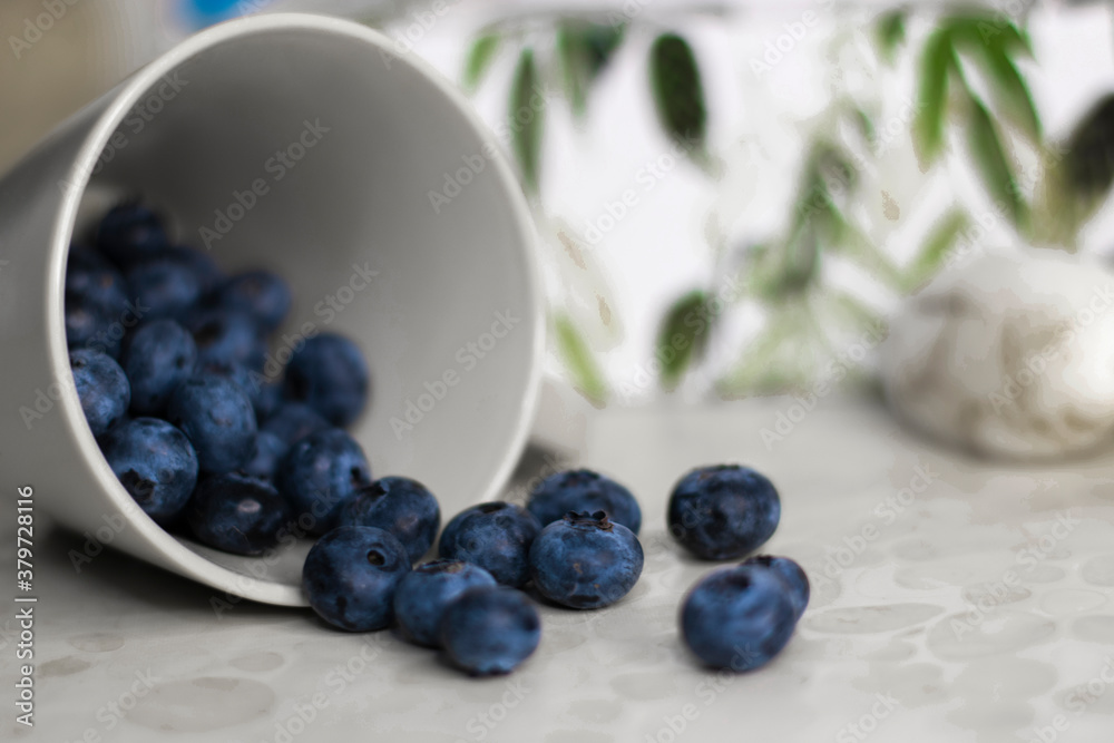 blueberries in a bowl blueberries in a bowl