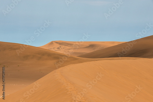 Namib desert sand dunes landscape