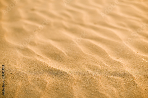 the texture of the sand. sand particles .