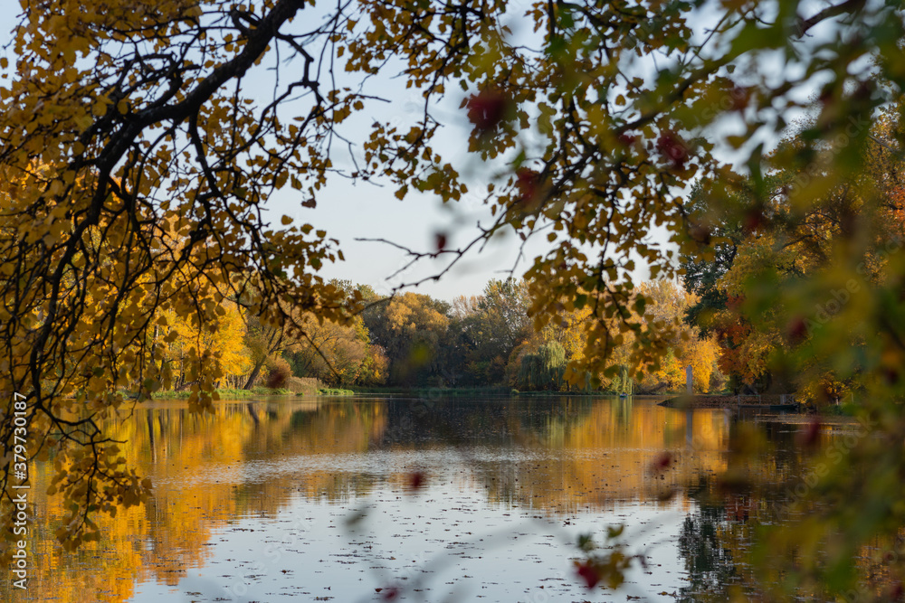 beautiful autumn landscape with a view of the lake from behind the trees