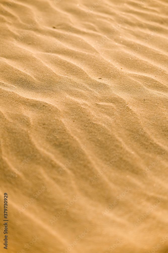 the texture of the sand. sand particles . the texture of the sand. sand particles .