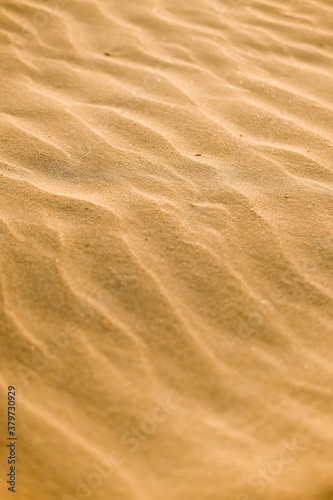 the texture of the sand. sand particles . © kristina