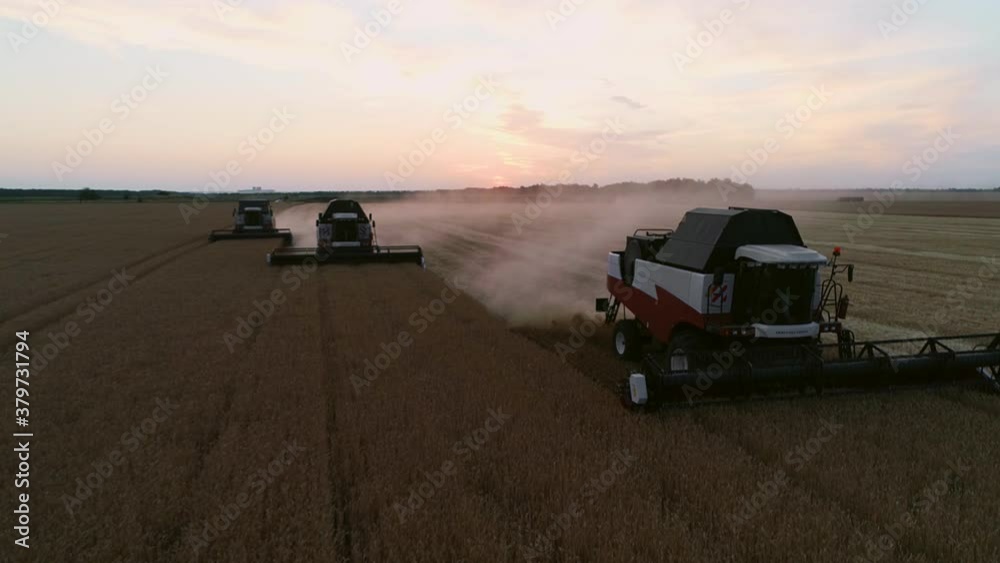 Aerial drone view of the combine harvesters works in wheat fields. Aerial drone view of the combine harvesters works in wheat fields.