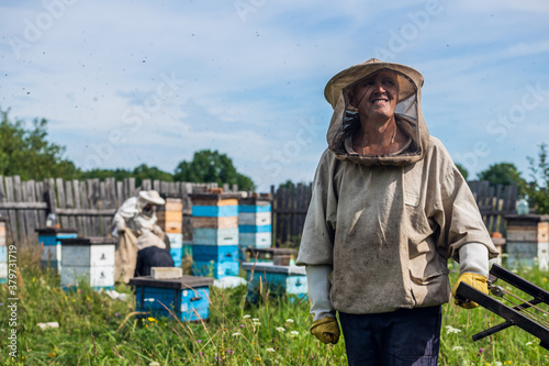 Beekeepers moving hand trolley with bee hives from apiary to extraction room. Preparing for honey extraction.