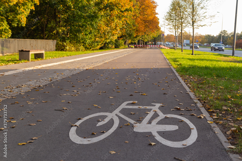 Obraz premium bicycle road sign on the road in autumn