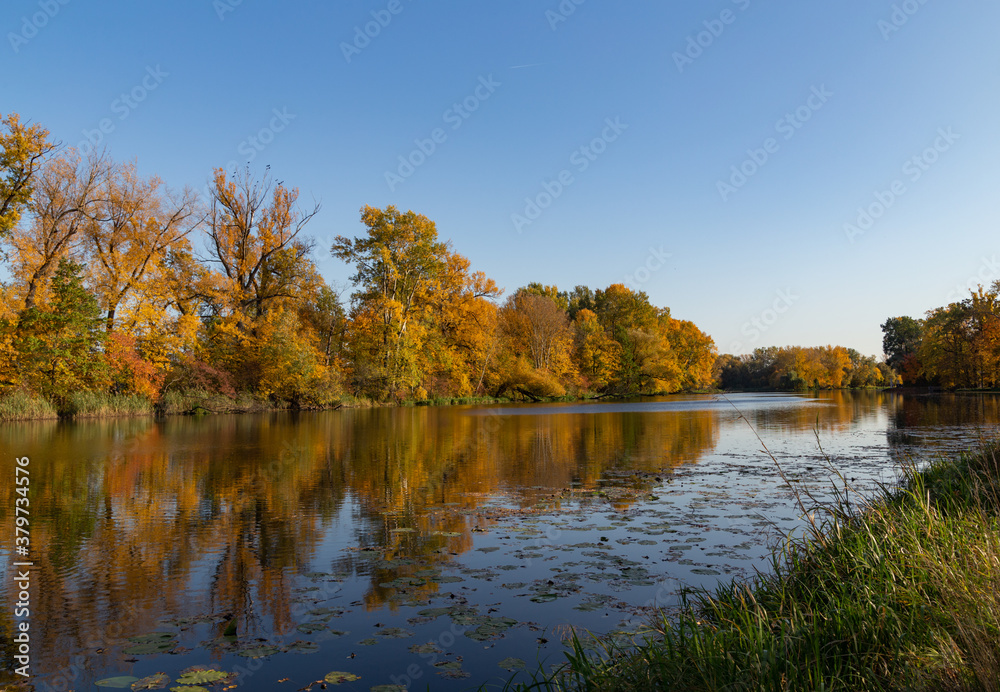 autumn landscape, trees with autumn golden leaves and blue sky reflected in the water, Wilanow Park Poland, a tributary of the Vistula River