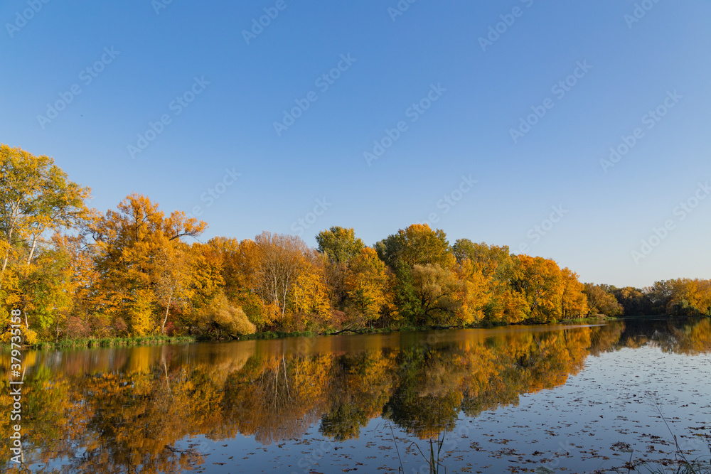 autumn landscape, trees with autumn golden leaves and blue sky reflected in the water, Wilanow Park Poland, a tributary of the Vistula River