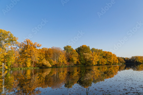 autumn landscape, trees with autumn golden leaves and blue sky reflected in the water, Wilanow Park Poland, a tributary of the Vistula River