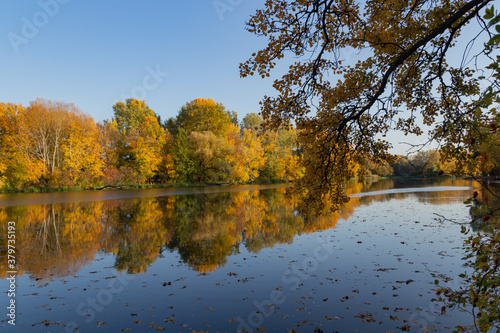 autumn landscape, trees with autumn golden leaves and blue sky reflected in the water, Wilanow Park Poland, a tributary of the Vistula River