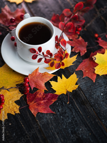 A white espresso Cup on a wooden table with yellow and red maple leaves and a barberry branch