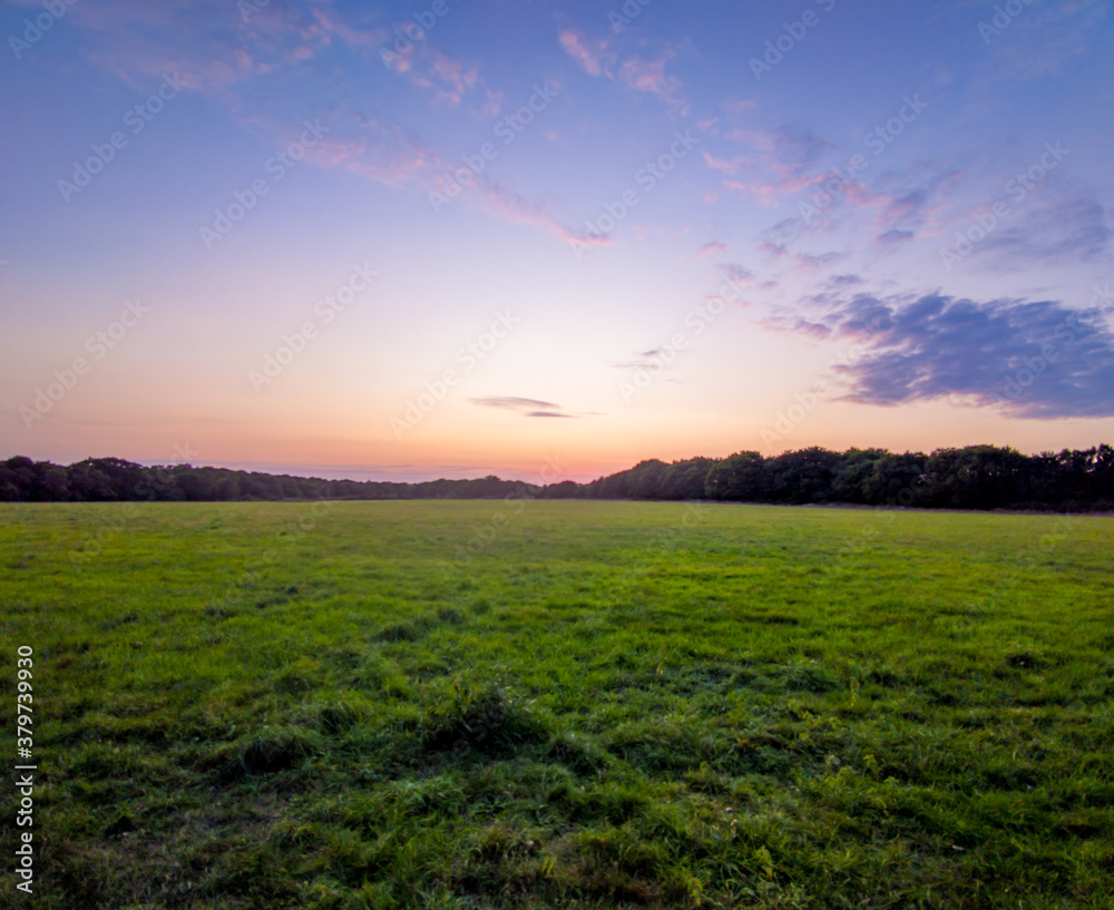Obraz premium sunset over the field